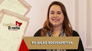 Explica Direito Filiação Socioafetiva  2019 [upl. by Chlores]