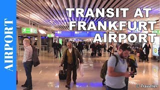 TRANSIT WALK AT FRANKFURT Airport FRA Terminal 1  Connection Flight Transfer Arriving amp Departing [upl. by Nalla]